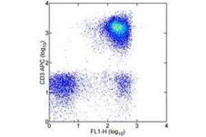 Image no. 1 for anti-Sialophorin (SPN) antibody (FITC) (ABIN474723) (CD43 Antikörper  (FITC))