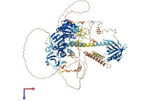 INPP5F Protein (AA 1-1132) (His tag)