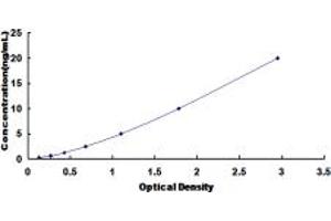 PDE10A ELISA Kit