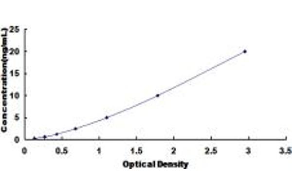 PDE10A ELISA Kit