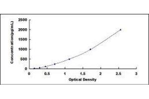 ELISA image for Defensin, alpha 1B (DEFA1B) ELISA Kit (ABIN419783) (DEFA1B ELISA Kit)