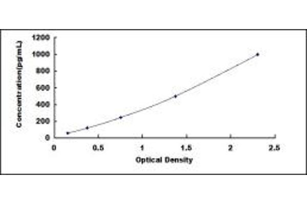 Thymic Stromal Lymphopoietin ELISA Kit