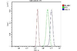 Flow Cytometry analysis of U20S cells using anti-Fibulin 1/FBLN1 antibody (ABIN7601231).