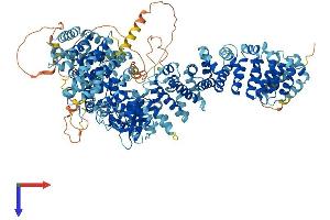 STK36 Protein (AA 1-1316) (His tag)