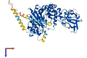 GALNT9 Protein (AA 1-603) (His tag)