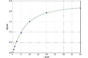 Kallikrein 8 (KLK8) ELISA Kit