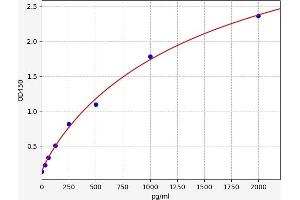 ST6GAL1 ELISA Kit