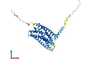 Protein Structure (PS) image for Chemokine (C Motif) Receptor 1 (XCR1) (AA 1-333) protein (His tag) (ABIN7545131)