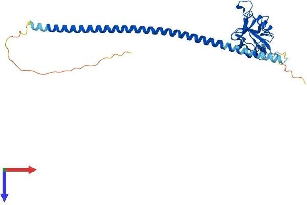 Asialoglycoprotein Receptor 1 Protein (ASGR1) (AA 1-291) (His tag)