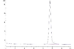 The purity of Mouse TFF1 is greater than 95 % as determined by SEC-HPLC.