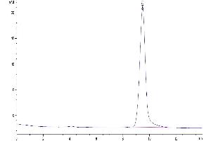 The purity of Mouse TFF1 is greater than 95 % as determined by SEC-HPLC. (TFF1 Protein (AA 22-87) (Fc Tag))