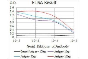 ELISA image for anti-Vav 1 Oncogene (VAV1) (AA 121-324) antibody (ABIN1845807) (VAV1 Antikörper  (AA 121-324))