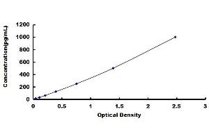 Typical standard curve (NDNF ELISA Kit)