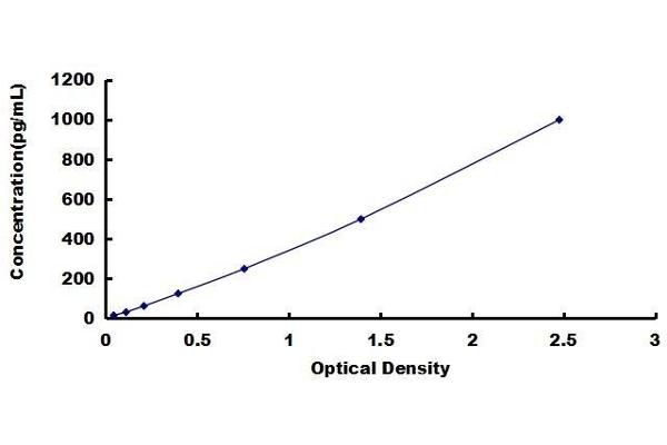 NDNF ELISA Kit