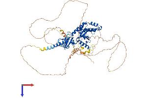 CACNB2 Protein (AA 1-660) (His tag)