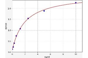 SORL1 ELISA Kit