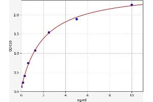 Typical standard curve (SORL1 ELISA Kit)