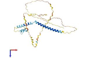 SFR1 Protein (AA 1-319) (His tag)