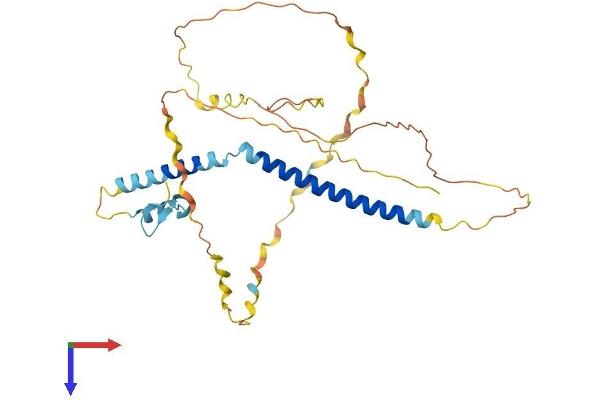 SFR1 Protein (AA 1-319) (His tag)