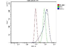 Flow Cytometry analysis of A549 cells using anti-SGCE antibody (ABIN7601544). (SGCE Antikörper  (AA 38-407))
