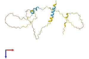 MAP6D1 Protein (AA 1-191) (His tag)