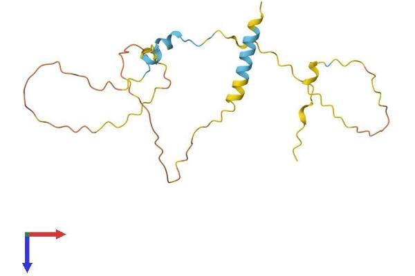 MAP6D1 Protein (AA 1-191) (His tag)