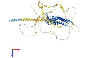 CPSF6 Protein (AA 1-551) (His tag)