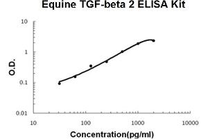 Horse equine TGF-beta 2 PicoKine ELISA Kit standard curve (TGFB2 ELISA Kit)