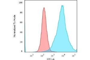 Flow Cytometric Analysis of PFA-fixed K562 cells using CD43 Rabbit Recombinant Monoclonal Antibody (SPN/1766R) followed by Goat anti-Rabbit- IgG-CF488 (Blue); Isotype Control (Red) (Rekombinanter CD43 Antikörper)