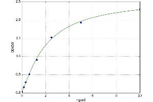 A typical standard curve (FOXC1 ELISA Kit)