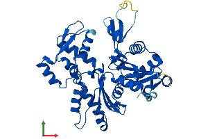 Protein Structure (PS) image for Actin, gamma 1 (ACTG1) (AA 1-375) protein (His tag) (ABIN7551976)
