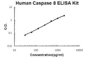 Human Caspase 8 PicoKine ELISA Kit standard curve (Caspase 8 ELISA Kit)