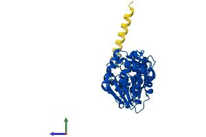 Protein Structure (PS) image for DIM1 Dimethyladenosine Transferase 1 Homolog (DIMT1) (AA 1-313) protein (His tag) (ABIN7560829)
