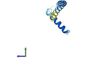 Protein Structure (PS) image for Serine Palmitoyltransferase, Small Subunit B (SPTSSB) (AA 1-76) protein (Fc Tag) (ABIN7546236)