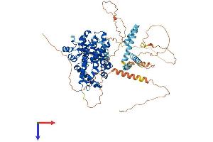 PDE4C Protein (AA 1-712) (His tag)