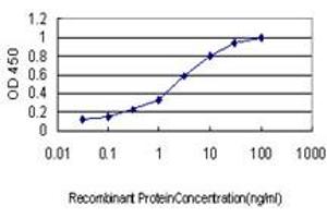 Detection limit for recombinant GST tagged RIN1 is approximately 0. (RIN1 Antikörper  (AA 646-755))