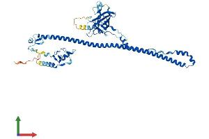 Protein Structure (PS) image for Tripartite Motif Containing 35 (TRIM35) (AA 1-501) protein (His tag) (ABIN7559060)