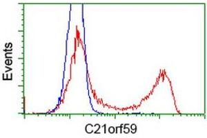 Flow Cytometry (FACS) image for anti-Chromosome 21 Open Reading Frame 59 (C21orf59) antibody (ABIN1497043) (C21orf59 Antikörper)