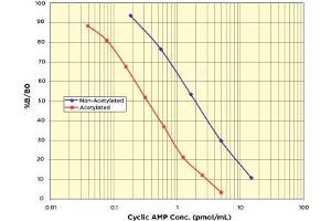Image no. 2 for Cyclic Adenosine Monophosphate (cAMP) CLIA Kit (ABIN577669) (CAMP CLIA Kit)