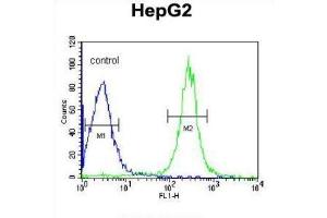 Flow Cytometry (FACS) image for anti-Angiopoietin-Like 4 (ANGPTL4) antibody (ABIN3004083)
