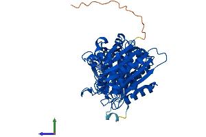 Protein Structure (PS) image for Aminopeptidase-Like 1 (NPEPL1) (AA 1-524) protein (His tag) (ABIN7557952)