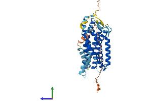 Protein Structure (PS) image for G Protein-Coupled Receptor 4 (GPR4) (AA 1-362) protein (His tag) (ABIN7548176)