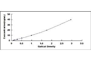 Typical standard curve (Lipoprotein Lipase ELISA Kit)