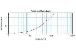 Image no. 1 for anti-Leptin (LEP) antibody (ABIN465757) (Leptin Antikörper)