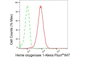 Flow cytometric analysis of Heme oxygenase 1 expression in HepG2 cells using Heme oxygenase 1 antibody (ABIN7798884), 1:2,000). (Rekombinanter HMOX1 Antikörper)