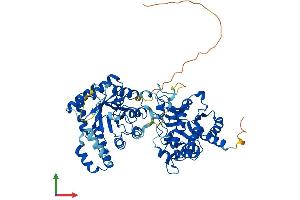 Protein Structure (PS) image for Methylenetetrahydrofolate Reductase (NAD(P)H) (MTHFR) (AA 1-654) protein (His tag) (ABIN7556263)