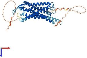 BRS3 Protein (AA 1-399) (His tag)