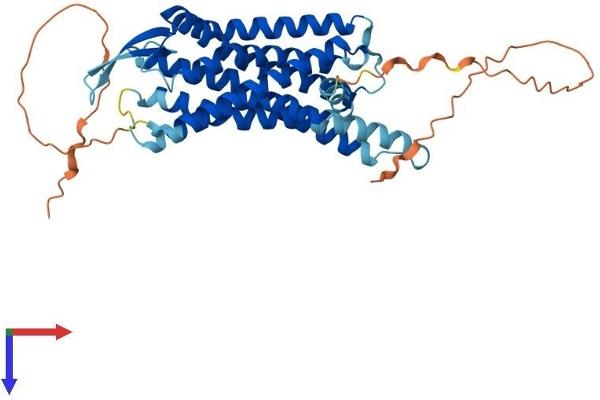 BRS3 Protein (AA 1-399) (His tag)