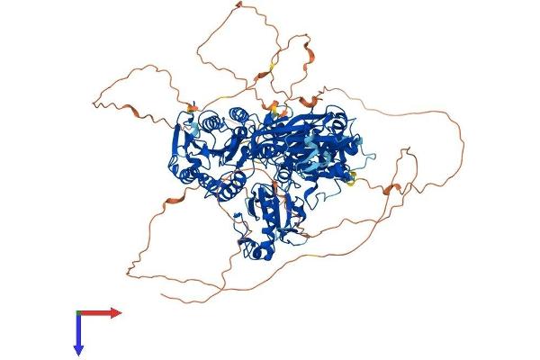 SEC24A Protein (AA 1-1093) (His tag)