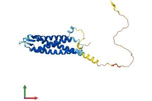 Protein Structure (PS) image for Synaptogyrin 3 (SYNGR3) (AA 1-229) protein (His tag) (ABIN7546253)
